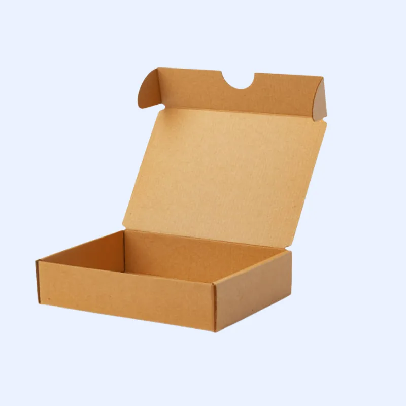 Literature Mailer Boxes
